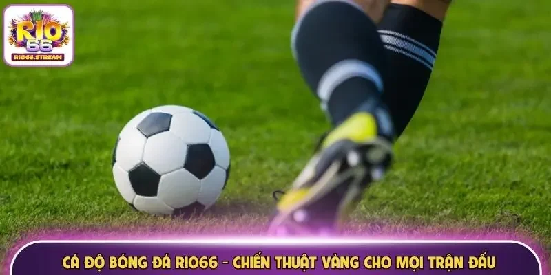 Cá độ bóng đá Rio66