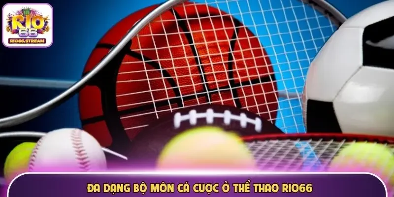 Đa dạng bộ môn cá cược ở thể thao Rio66