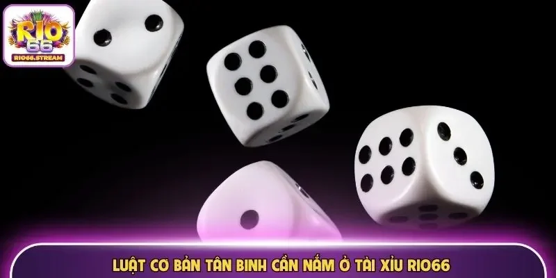 Luật cơ bản tân binh cần nắm ở Tài Xỉu Rio66