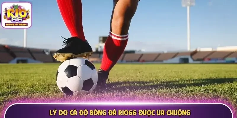 Lý do cá độ bóng đá Rio66 được ưa chuộng