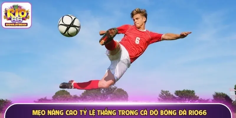 Mẹo nâng cao tỷ lệ thắng trong cá độ bóng đá Rio66
