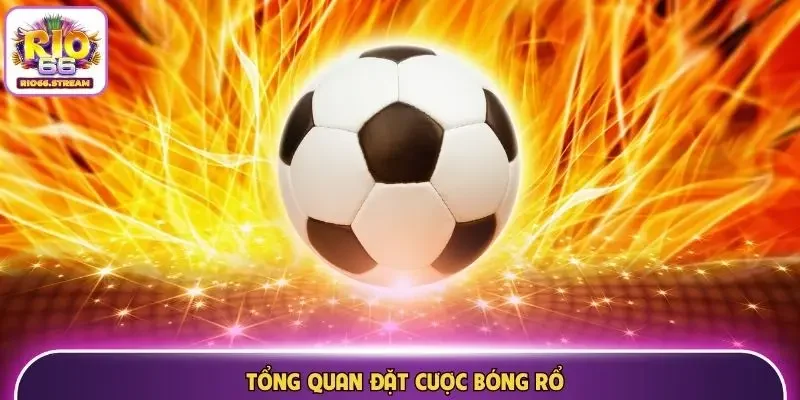 Tổng quan đặt cược bóng rổ
