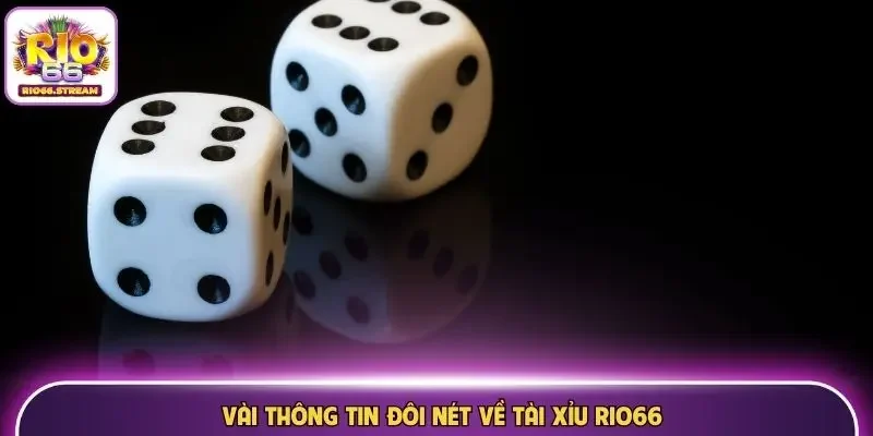 Vài thông tin đôi nét về Tài Xỉu Rio66